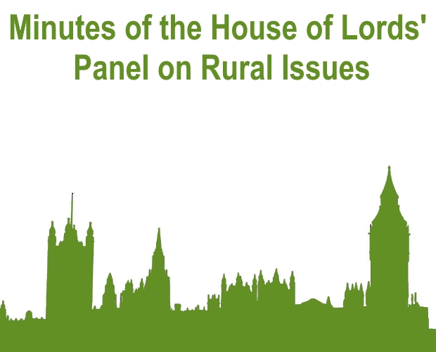Minutes of the House of Lords' Panel on Rural Issues - 28/11/18